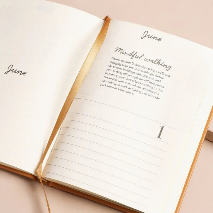Thumbnail: 52 Weeks of Positivity Wellness Journal