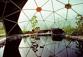 John Todd Ecological Design