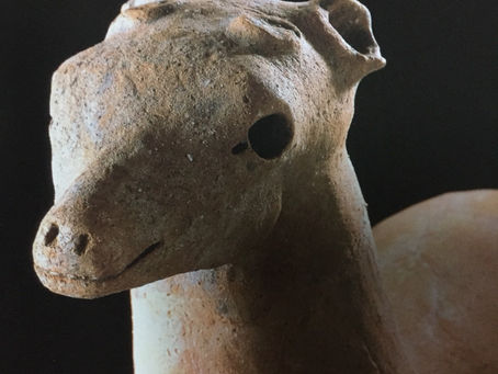 人と動物の絆がつなげてくれたもの