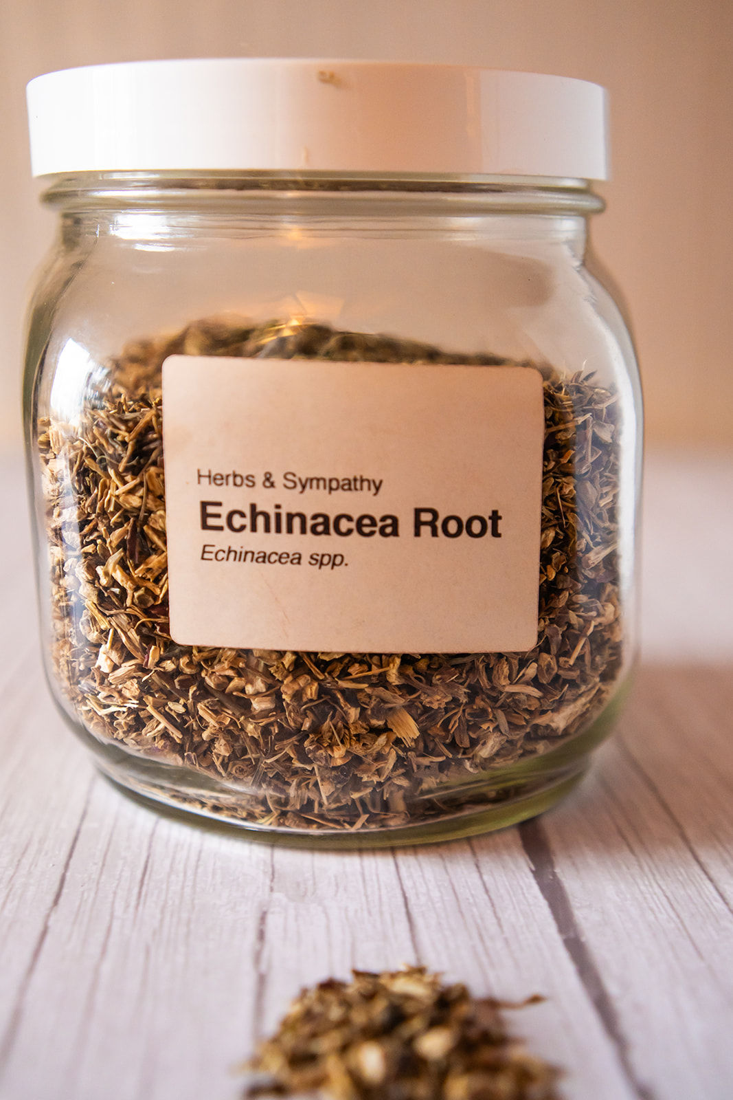 Echinacea Root, organic