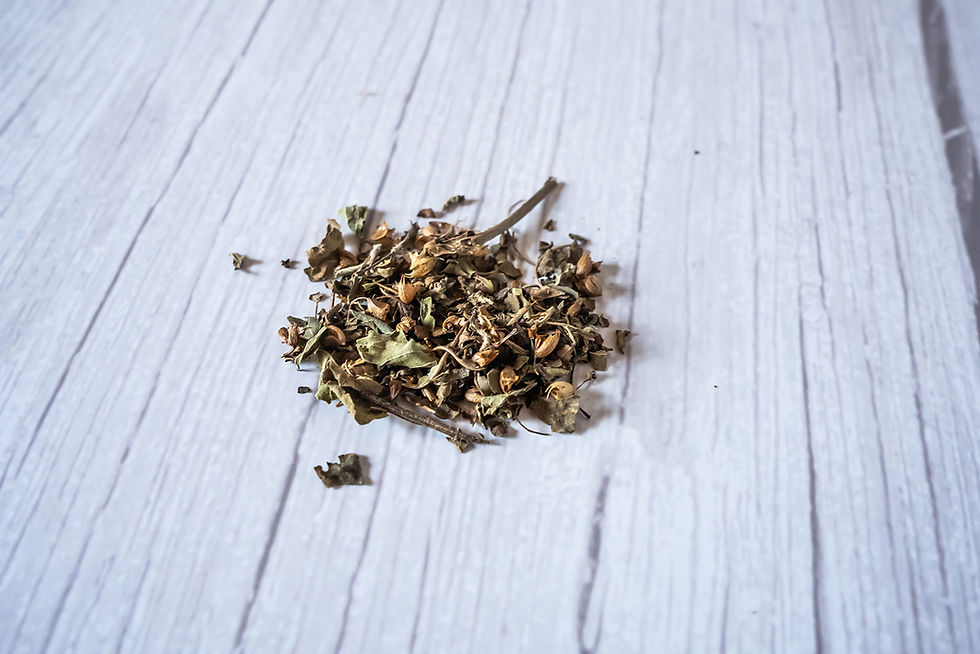 Thumbnail: Holy Basil, Rama, organic