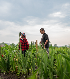 SMIF Interview Mi Moua and Pha Lee looking off into the distance.png