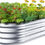 Thumbnail: Raised Garden Bed Kit, 5x2x1 ft Galvanized Planter Box Outdoor with Safety Edgi