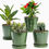 Thumbnail: EFISPSS Flower Planter –5 inch Ceramic Plant Pots with Drainage Holes and Cer