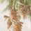 Thumbnail: Khaki Velvet Ribbon 5/8'' 25 Yards for Christmas Tree, Gift Wrapping, Flower Bo