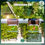 Thumbnail: SOLPEX Solar Deck Lights Outdoor 16 Pack, Solar Step Lights Waterproof Led Sola