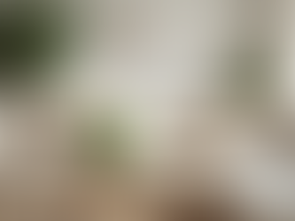 7 Simple Tips for Refreshing Your Home Decor After the Holiday Season