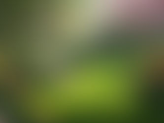 Spring Garden Reset: The Ultimate Checklist for a Fresh Start