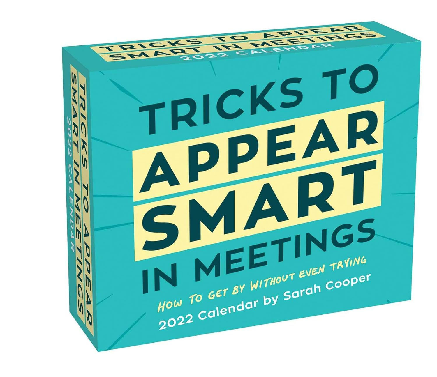 Tricks to Appear Smart in Meetings 2022 Day-to-Day Calendar