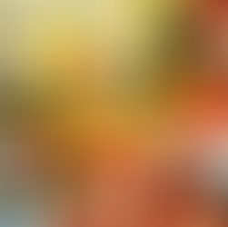 The Best Board Games for Hours of Fun and Entertainment