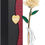 Thumbnail: Gold Dipped Rose 24k Red Gold Plated Rose - Everlasting Long Stem Real Rose Exq
