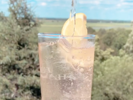 Sumac Tom Collins