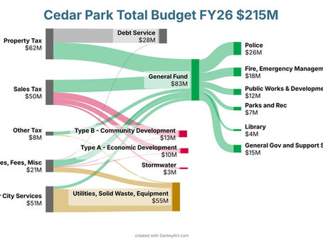 City Budgets 101