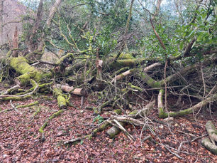 The full impacts of food waste