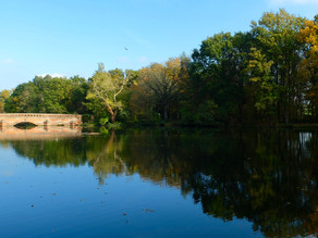 Bridge & Lake