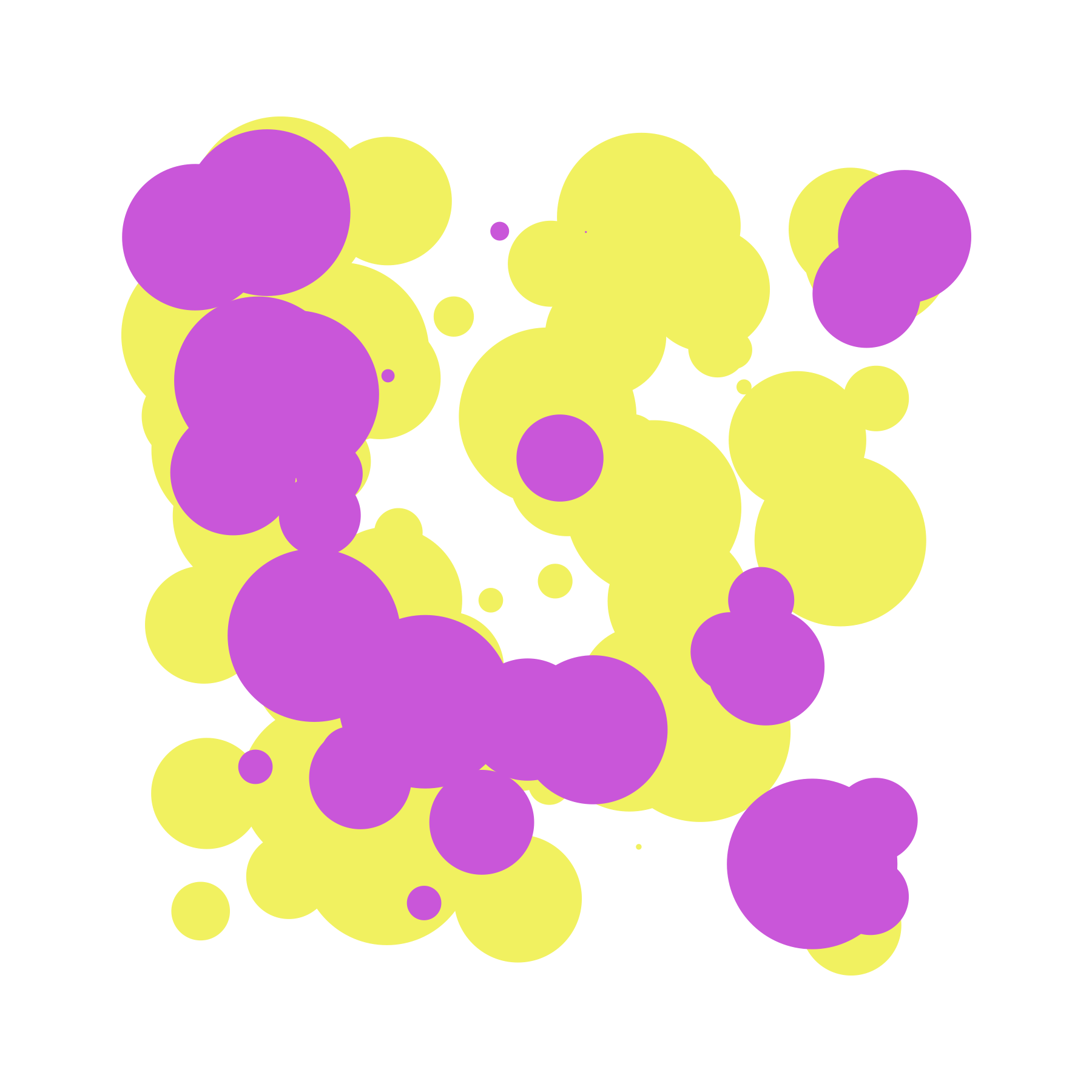 07_visual_bando_fermenti_a.gif