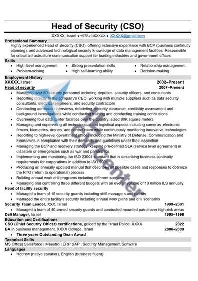 Head of Security (CSO).png