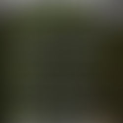 Masters Cumbria Festival