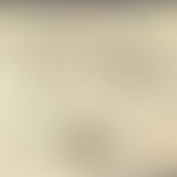 THE LAND OF OUR FATHERS: The MAPS That Never Lied