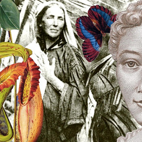 Event (UK): A Feminist Guide to Botany