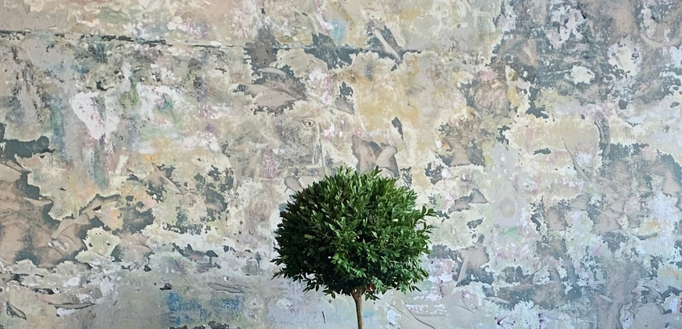 Hvordan vet jeg om jeg bør gå i terapi?