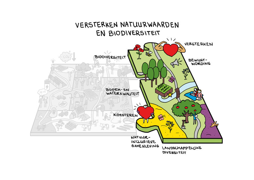 GemOpsterland_NatuurwaardenBiodiversiteit_Digitaal_LR.jpg