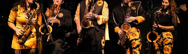 Book Local Austin Bands With Groove Labs Sweet pea diamond and platinum bangle. book local austin bands with groove labs