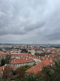 IMG_4192.jpg