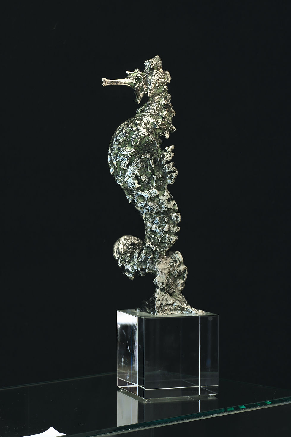 seahorse