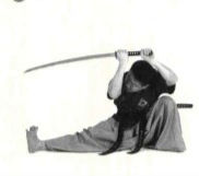 posture du tigre accroupie de haidong gumdo