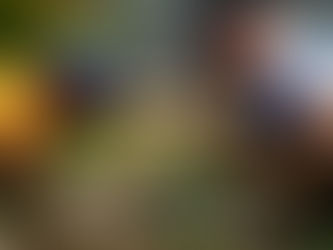 こだま通信2026年4月「子どもの体を丈夫にする土と森」