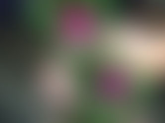 こだま通信「ママこれな～に？にどう答える？」2020年5月