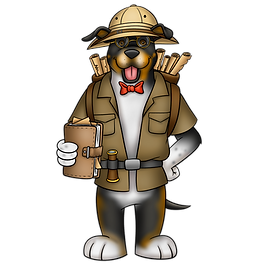 Bear.png