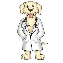doctor.png