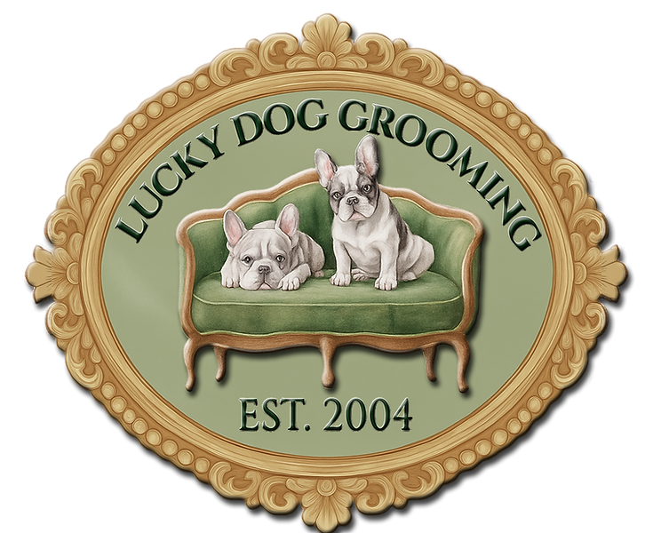 Lucky Dog Grooming3.png