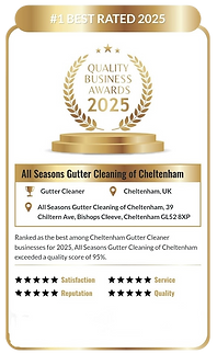 Award 2025.png