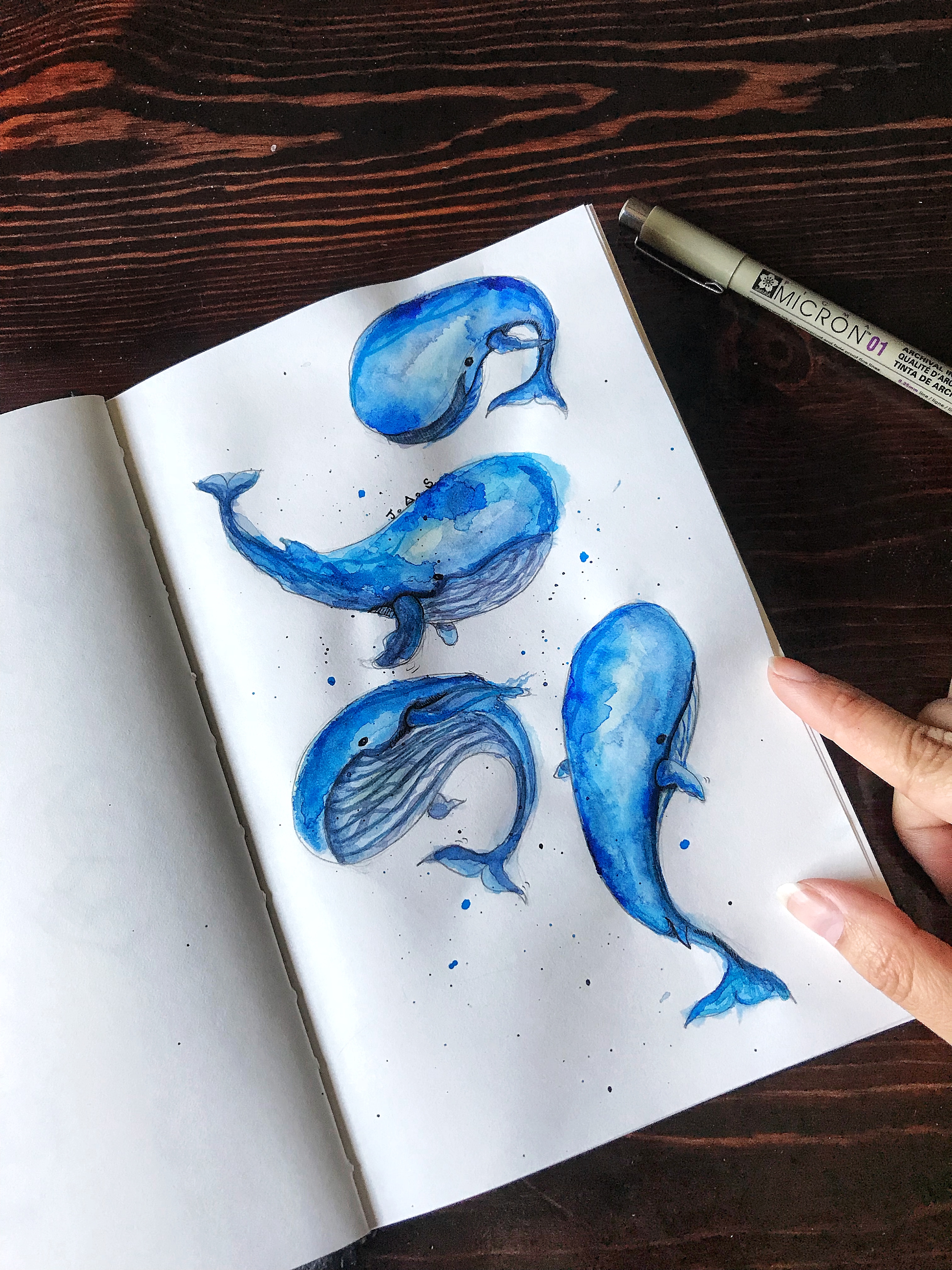 Whales