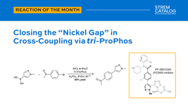 Beyond Palladium: Operationalizing Nickel Catalysis in Process R&D