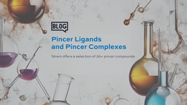 Pincer Ligands and Pincer Complexes 