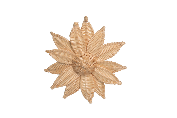 Sunflower Coconut Fiber
