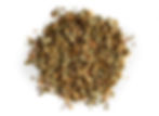 Hawthorne Mountain Root (Shan Zha)