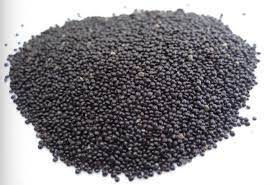 Celosia Argentea Seed (Qing Xiang Zi)