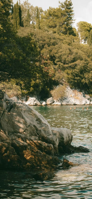 Rocky shoreline with trees and calm water, with a slightly warm color tone.