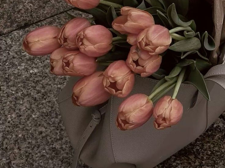 Bouquet of peach-colored tulips inside a beige bag, on a stone sidewalk with dry leaves around it.