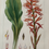 Thumbnail: 3 X 19th Century Bessa Engravings