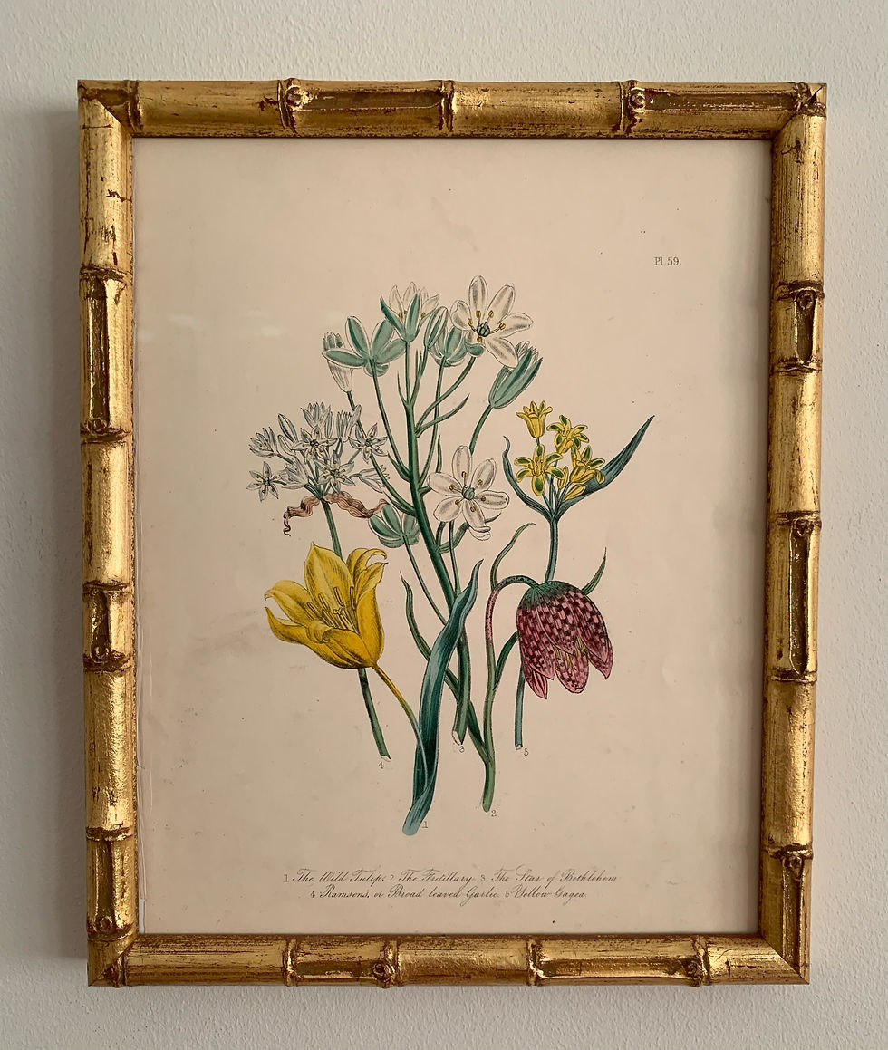 Thumbnail: Set of 9 - Loudon Botanicals