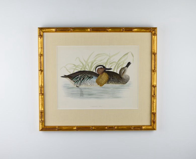 Thumbnail: Ducks by B.Morris - Set of 12
