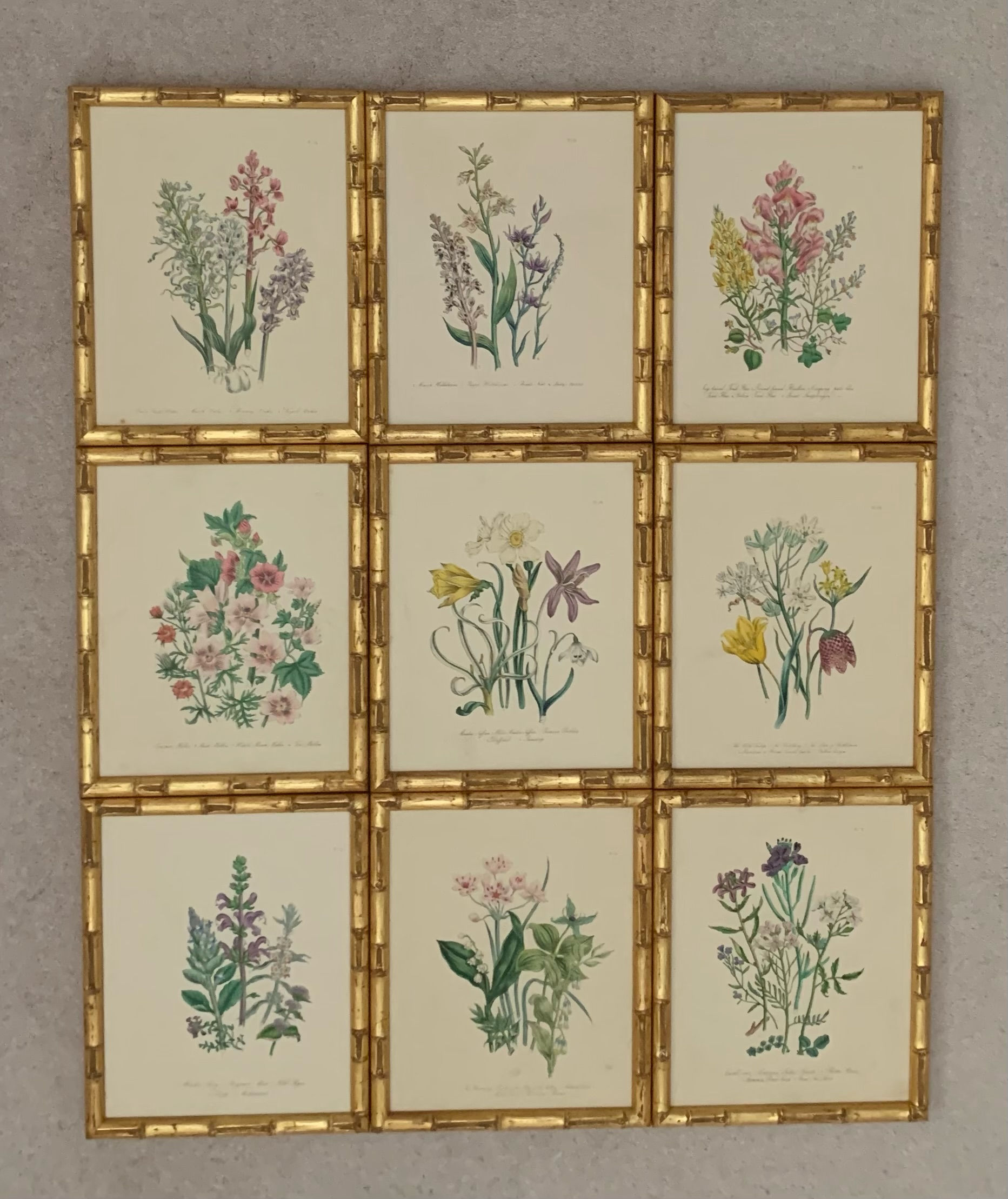 Set of 9 - Loudon Botanicals