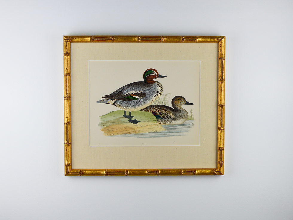 Thumbnail: Ducks by B.Morris - Set of 12