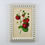 Thumbnail: Fruits by G.Severyns - Set of 9